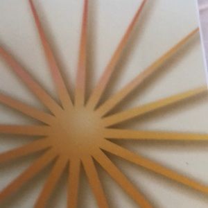 Meet your Posher, Ericka